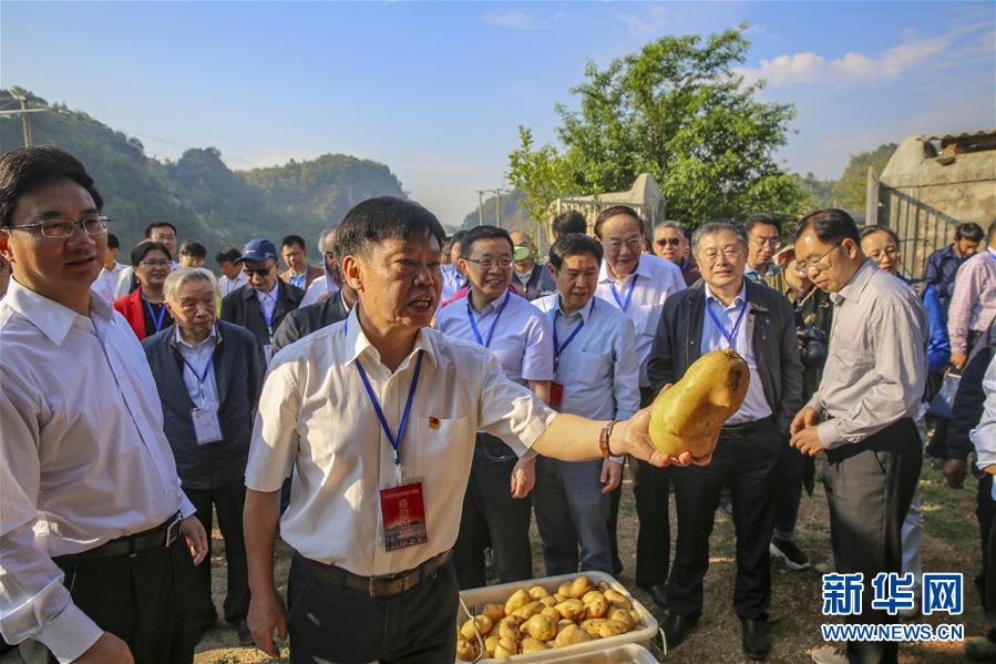 （新華全媒頭條&middot;時(shí)代先鋒&middot;圖文互動(dòng)）（5）&ldquo;要把論文寫在大地上&rdquo;&mdash;&mdash;記&ldquo;農(nóng)民院士&rdquo;朱有勇