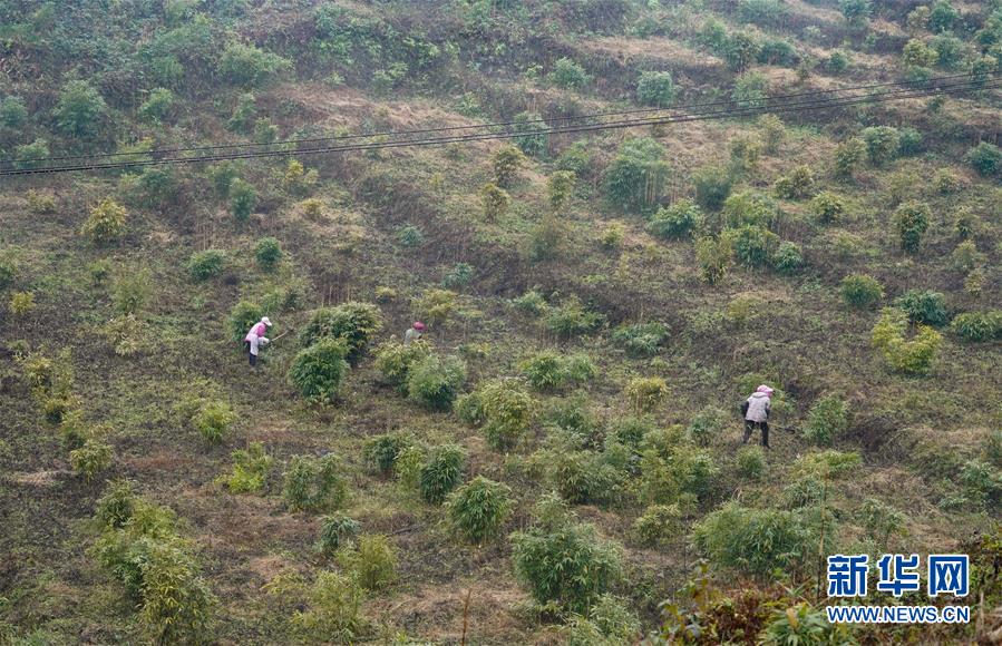 （新華全媒頭條&middot;圖文互動(dòng)）（12）烏蒙歡歌高鐵來(lái)&mdash;&mdash;寫在成貴高鐵通車之際