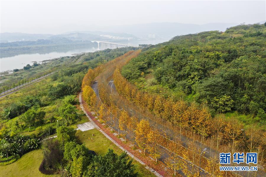 （四中全會精神在基層&middot;圖文互動）（4）一江碧水串起綠色島鏈&mdash;&mdash;重慶江心島&ldquo;生態(tài)留白&rdquo;調(diào)查