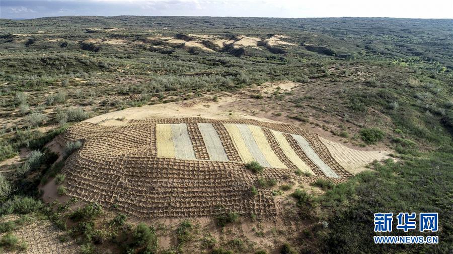 （在習(xí)近平新時(shí)代中國特色社會(huì)主義思想指引下&mdash;&mdash;新時(shí)代新作為新篇章&middot;總書記關(guān)切高質(zhì)量發(fā)展&middot;圖文互動(dòng)）（1）從一粒沙看不斷擴(kuò)大的中國綠色版圖