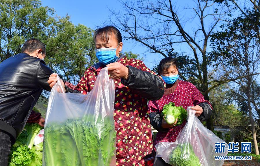 （圖文互動）（6）廣西桂林：&ldquo;借力+接力&rdquo;新鮮蔬菜進社區(qū)