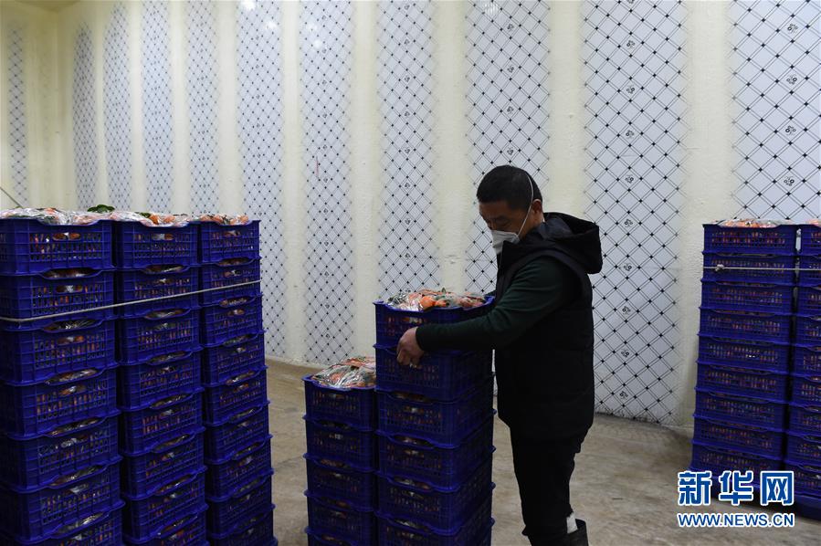 （圖文互動）（7）與疫情抗爭 與春光同行&mdash;&mdash;廣西農(nóng)村春耕備耕一線觀察