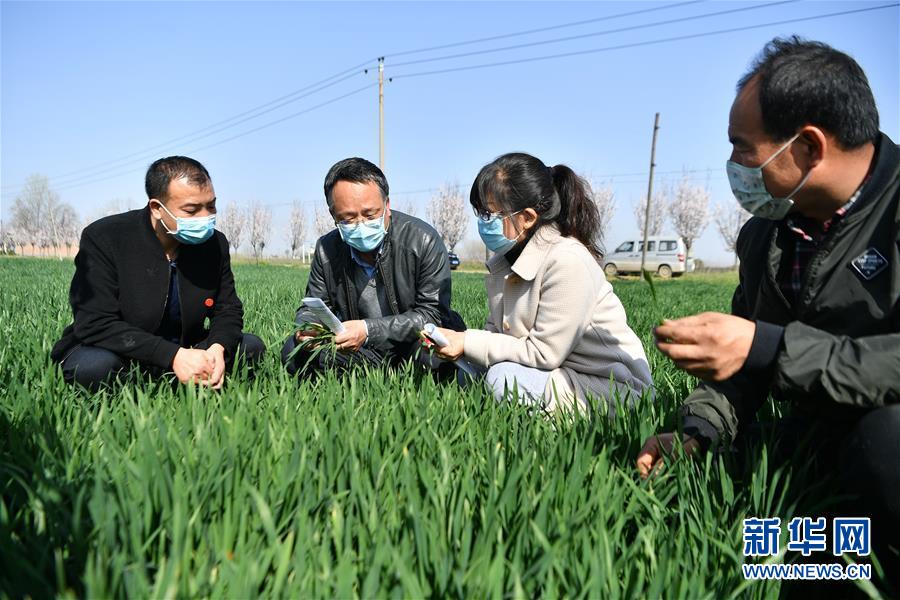 （新華全媒頭條&middot;圖文互動(dòng)）（8）春色最濃在田間&mdash;&mdash;來(lái)自全國(guó)春耕備耕的現(xiàn)場(chǎng)觀察