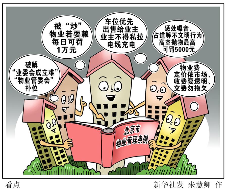 （圖表&middot;漫畫）［新華調(diào)查］看點