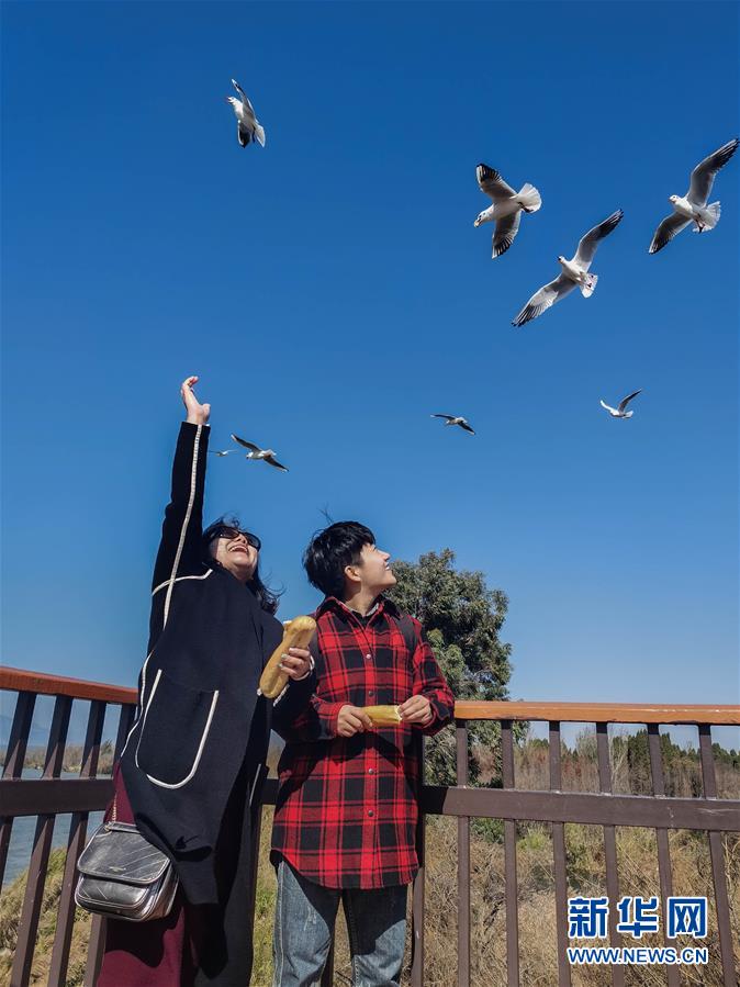 （一線抗疫群英譜&middot;圖文互動）（1）大學生志愿者譚藝西：在武漢，我和媽媽共戰(zhàn)&ldquo;疫&rdquo;