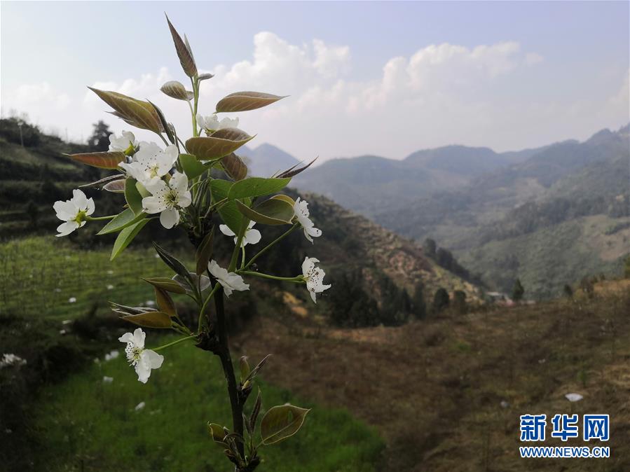 （決戰(zhàn)決勝脫貧攻堅(jiān)&middot;圖文互動）（1）寄相思，償夙愿&mdash;&mdash;5封清明&ldquo;家書&rdquo;里的決戰(zhàn)決勝信念