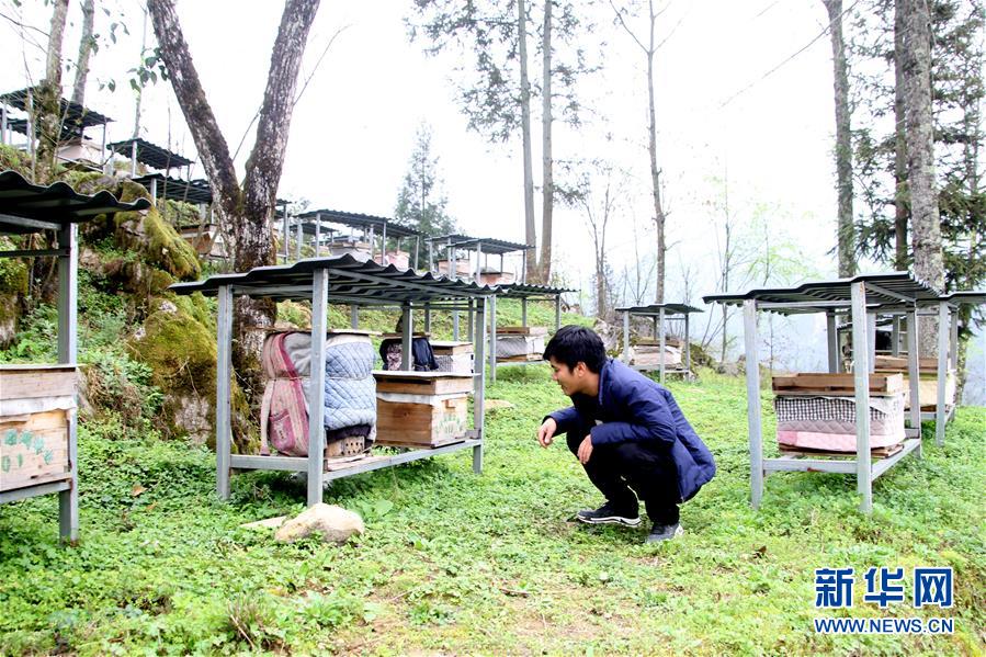 （決戰(zhàn)決勝脫貧攻堅(jiān)&middot;圖文互動）（3）寄相思，償夙愿&mdash;&mdash;5封清明&ldquo;家書&rdquo;里的決戰(zhàn)決勝信念