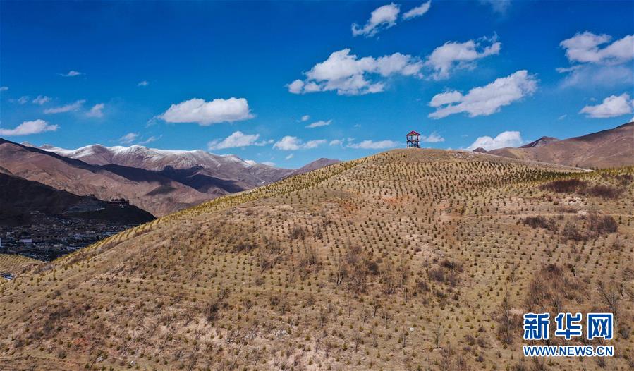 （新華全媒頭條&middot;圖文互動(dòng)）（6）三江之源見(jiàn)證中國(guó)奇跡&mdash;&mdash;寫(xiě)在玉樹(shù)地震10周年之際