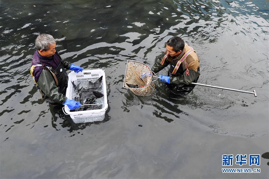 （決戰(zhàn)決勝脫貧攻堅&middot;圖文互動）（6）多重保障 不漏一人&mdash;&mdash;貴州一個脫貧&ldquo;摘帽&rdquo;縣的防貧機制探索
