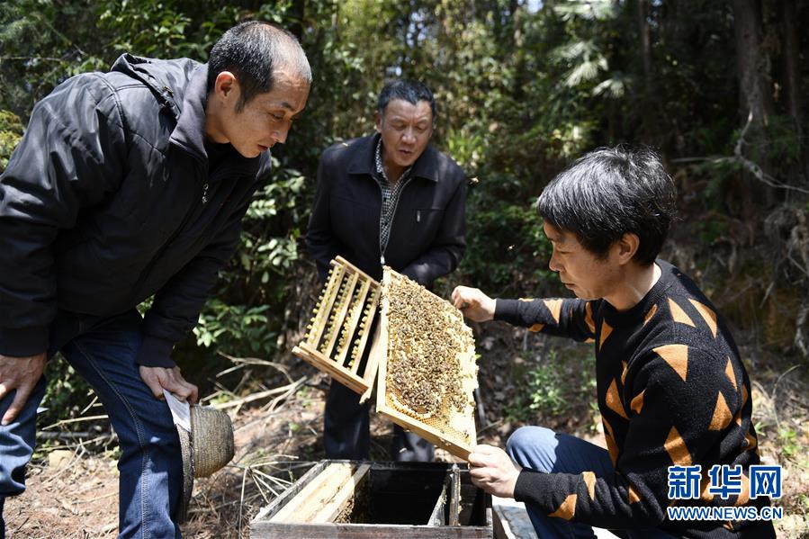 （決戰(zhàn)決勝脫貧攻堅(jiān)&middot;圖文互動(dòng)）（5）一位農(nóng)民的產(chǎn)業(yè)扶貧成績(jī)單 