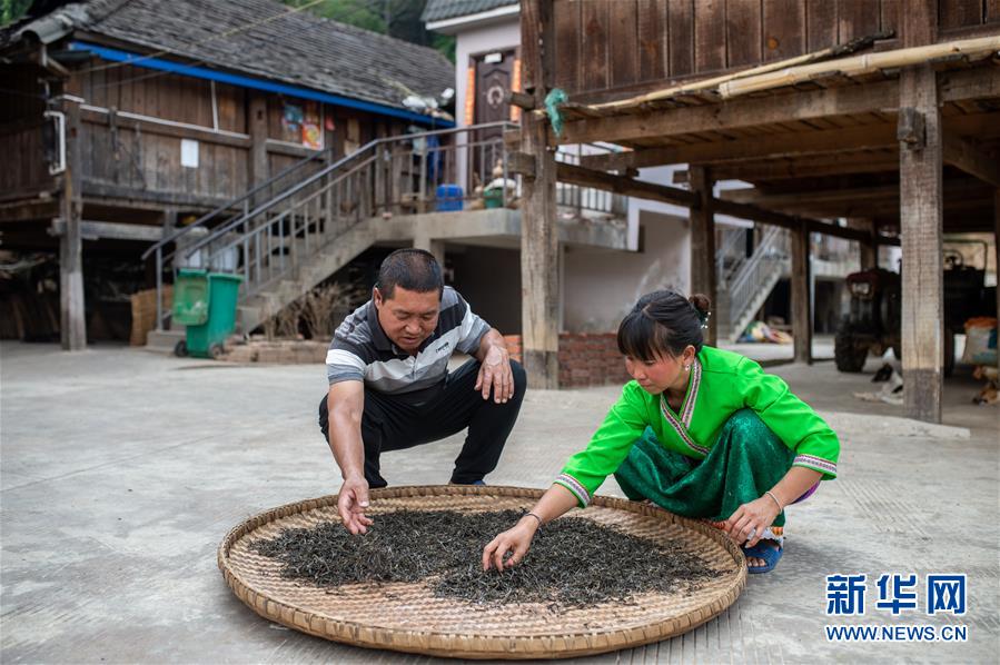（決戰(zhàn)決勝脫貧攻堅&middot;圖文互動）（5）&ldquo;孩子再也不用學(xué)打獵了&rdquo;&mdash;&mdash;拉祜族女獵手告別狩獵