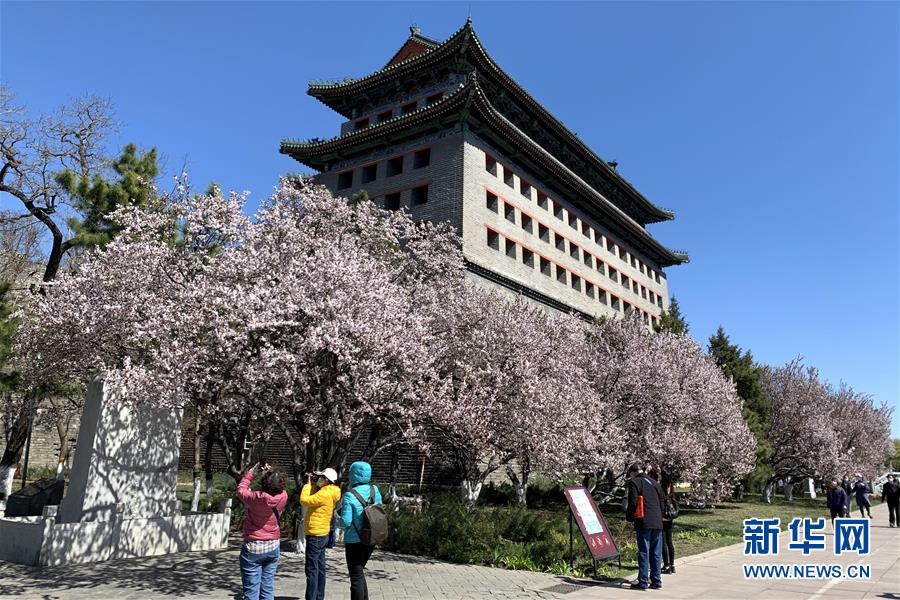 （新華全媒頭條&middot;圖文互動(dòng)）（5）永遠(yuǎn)的夢(mèng)想 永恒的追求&mdash;&mdash;寫在北京世園會(huì)開幕一周年之際