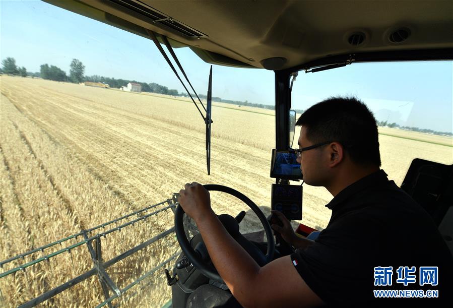（關(guān)注三夏&middot;圖文互動）（2）麥田&ldquo;后浪&rdquo;的農(nóng)事新說