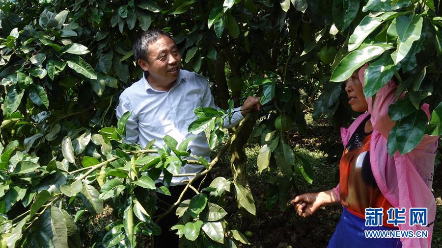 （新華網&middot;決戰(zhàn)決勝脫貧攻堅&middot;圖文互動）（1）貴州思南：強村帶弱村 &ldquo;抱團&rdquo;促增收