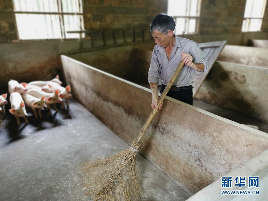 （走向我們的小康生活&middot;圖文互動）（2）長沙：以&ldquo;繡花功&rdquo;精準(zhǔn)攻破&ldquo;插花貧&rdquo;
