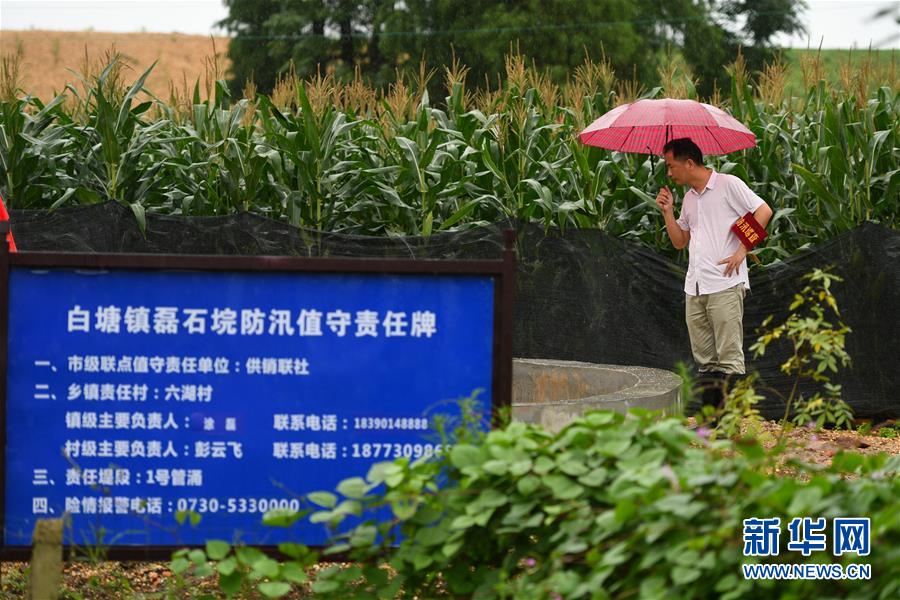 （防汛抗洪&middot;圖文互動(dòng)）（1）&ldquo;險(xiǎn)情不可怕，可怕的是不能及時(shí)發(fā)現(xiàn)險(xiǎn)情&rdquo;&mdash;&mdash;洞庭湖巡堤查險(xiǎn)現(xiàn)場直擊