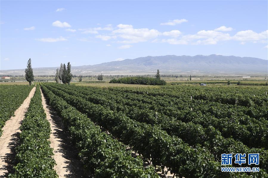 （新華全媒頭條&middot;走向我們的小康生活&middot;圖文互動）（9）23萬人的命運(yùn)轉(zhuǎn)折&mdash;&mdash;我國最大易地生態(tài)移民安置區(qū)的脫貧密碼