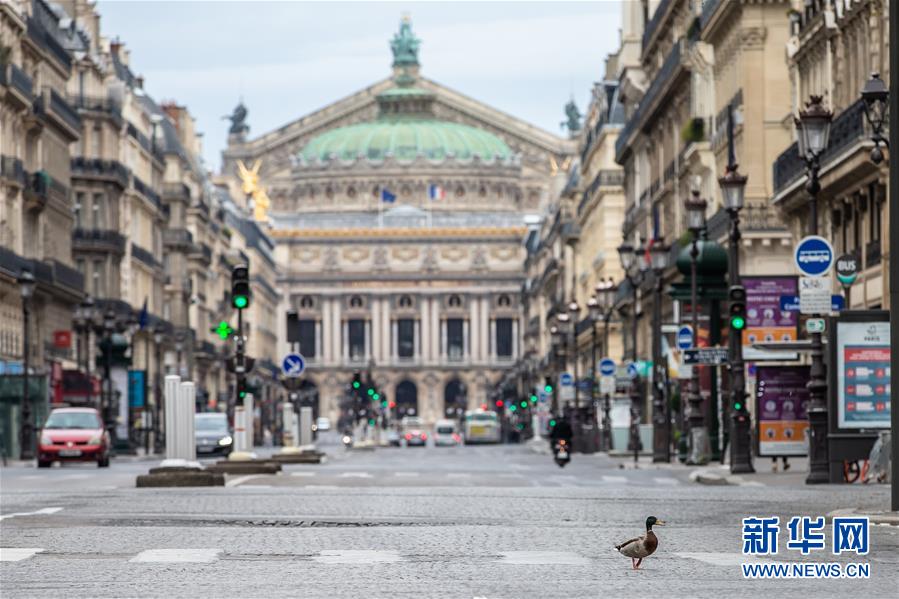 （國(guó)際&middot;圖文互動(dòng)）（4）特稿：穿越寒暑 無(wú)問(wèn)西東&mdash;&mdash;寫(xiě)在新冠疫情構(gòu)成&ldquo;國(guó)際關(guān)注的突發(fā)公共衛(wèi)生事件&rdquo;半年之際