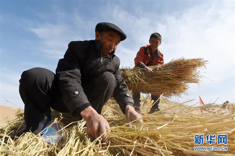 （在習近平新時代中國特色社會主義思想指引下&mdash;&mdash;新時代新作為新篇章&middot;習近平總書記關(guān)切事&middot;圖文互動）（5）綠色映底蘊，山水見初心&mdash;&mdash;生態(tài)優(yōu)先、綠色發(fā)展持續(xù)造福群眾美好生活