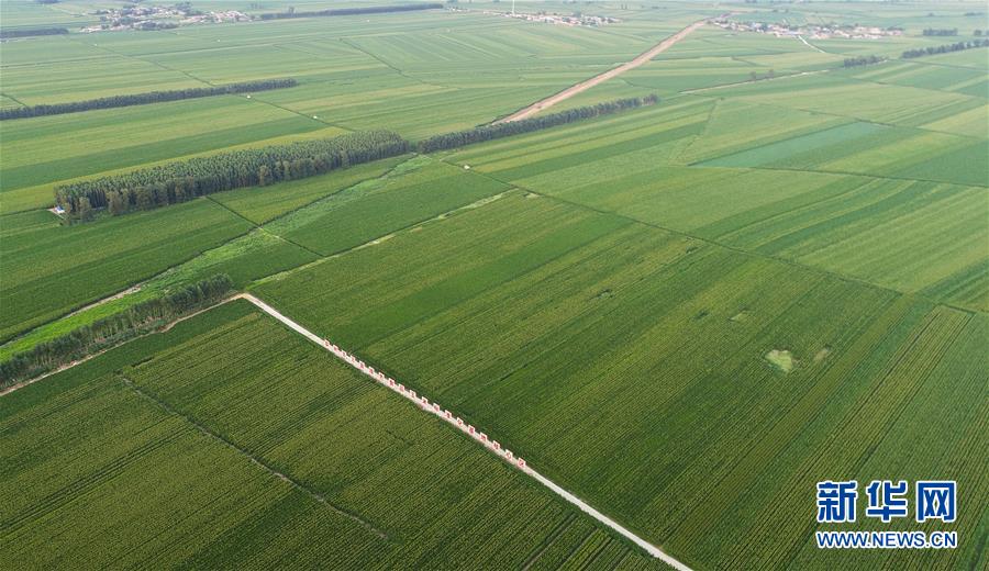 （在習(xí)近平新時代中國特色社會主義思想指引下&mdash;&mdash;新時代新作為新篇章&middot;習(xí)近平總書記關(guān)切事&middot;圖文互動）（2）為黑土加&ldquo;油&rdquo;&mdash;&mdash;&ldquo;耕地中的大熊貓&rdquo;，我們這樣保護(hù)