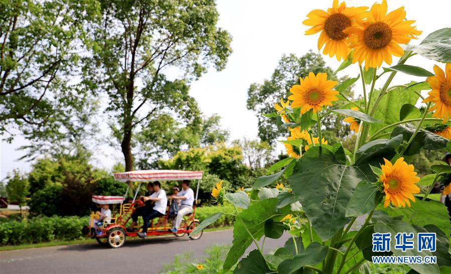 （新華全媒頭條&middot;走向我們的小康生活&middot;圖文互動）（13）城市，讓人民生活更美好