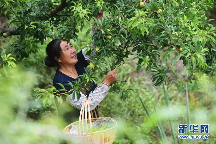 （新華全媒頭條&middot;走向我們的小康生活&middot;圖文互動）（7）大城大鄉(xiāng)的&ldquo;幸福協(xié)奏曲&rdquo;&mdash;&mdash;重慶推動高質量發(fā)展創(chuàng)造高品質生活紀事