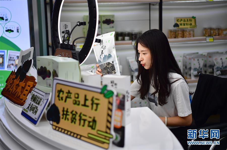 （走向我們的小康生活&middot;圖文互動）（3）綠了青山，紅了日子&mdash;&mdash;秦巴山區(qū)群眾繪出小康&ldquo;調(diào)色板&rdquo;