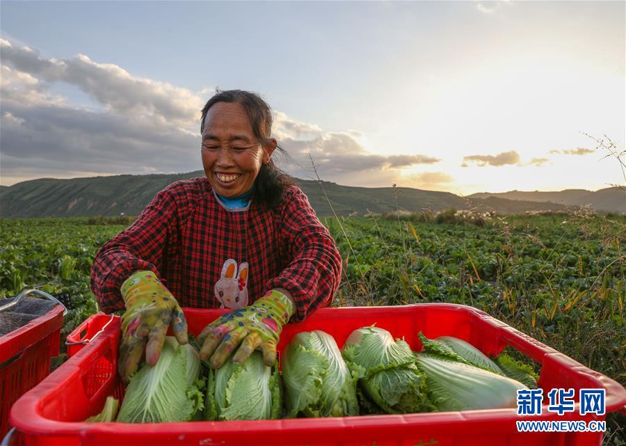 （新華全媒頭條&middot;決戰(zhàn)決勝脫貧攻堅&middot;督戰(zhàn)未摘帽貧困縣&middot;圖文互動）（1）不獲全勝，決不收兵&mdash;&mdash;全國52個掛牌督戰(zhàn)貧困縣脫貧攻堅紀實