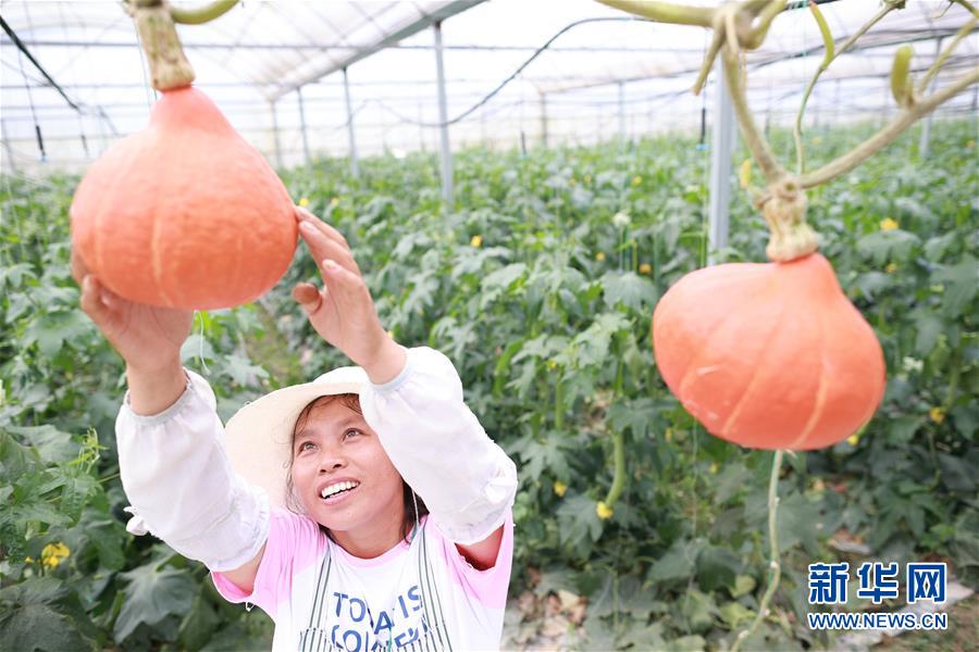 （新華全媒頭條&middot;走向我們的小康生活&middot;決戰(zhàn)決勝脫貧攻堅&middot;圖文互動）（7）千年之渴今朝解&mdash;&mdash;貴州貧困群眾實現(xiàn)&ldquo;吃水不愁&rdquo;