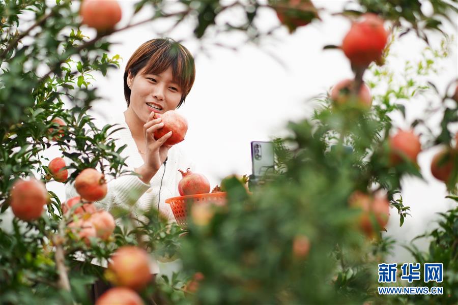 （新華全媒頭條&middot;圖文互動）（12）流動中國折射復(fù)蘇新氣象&mdash;&mdash;透視&ldquo;十一&rdquo;黃金周