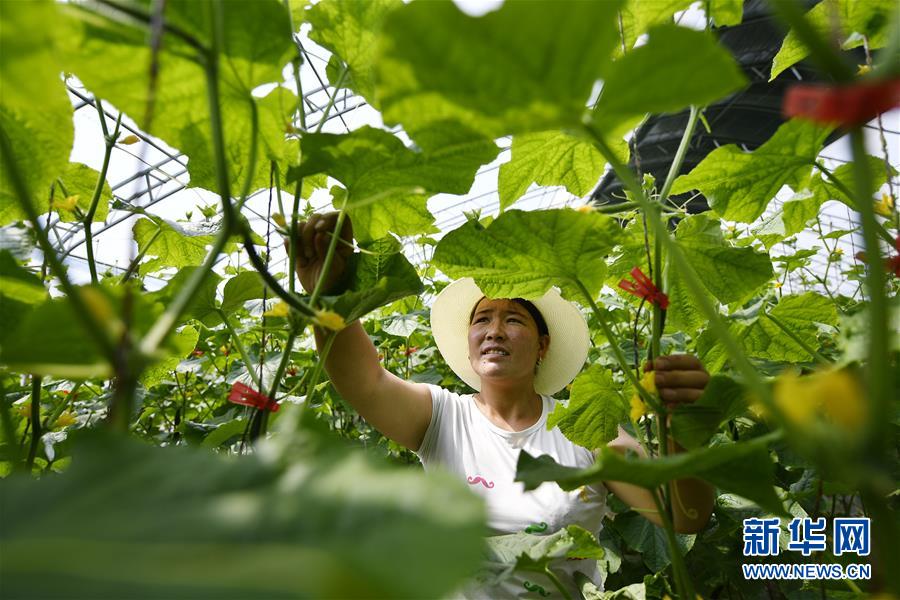 （新華全媒頭條&middot;百萬大移民&middot;圖文互動）（1）從大山深處到大河之畔&mdash;&mdash;寧夏持續(xù)移民百萬&ldquo;拔窮根&rdquo;啟示