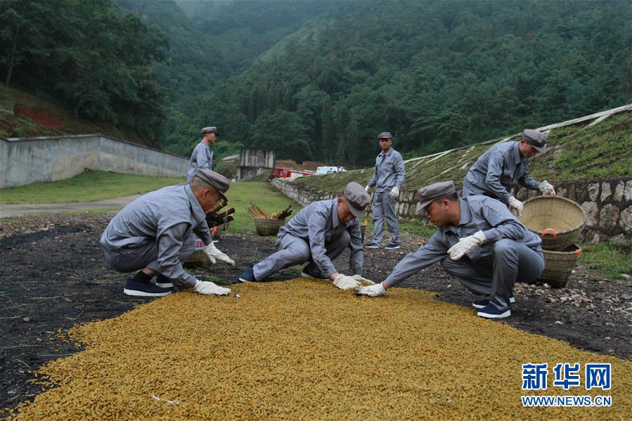 （在習(xí)近平強(qiáng)軍思想指引下&middot;我們?cè)趹?zhàn)位報(bào)告&middot;圖文互動(dòng)）（3）牢記統(tǒng)帥囑托  做刀尖上的舞者&mdash;&mdash;記聯(lián)勤保障部隊(duì)某報(bào)廢武器彈藥銷毀站參謀長(zhǎng)陳雪禮