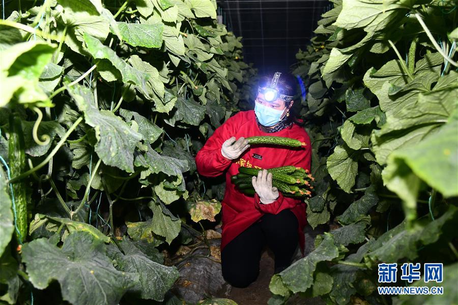 （在習近平新時代中國特色社會主義思想指引下&mdash;&mdash;新時代新作為新篇章&middot;習近平總書記關(guān)切事&middot;圖文互動）（3）&ldquo;菜籃子&rdquo;里的力量&mdash;&mdash;全國各地努力做好保障和改善民生工作在行動