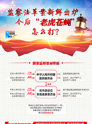 監(jiān)察法草案新鮮出爐 今后&ldquo;老虎蒼蠅&rdquo;怎么打？