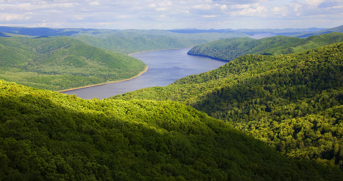 張建龍：&ldquo;三北工程&rdquo;實(shí)現(xiàn)生態(tài)、經(jīng)濟(jì)、社會(huì)效益&ldquo;多贏&rdquo;