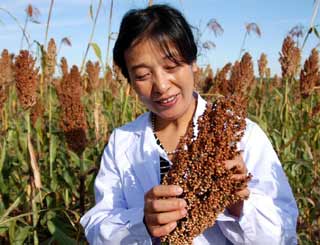 梅園雪：農(nóng)民心中的&ldquo;女財神&rdquo;