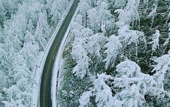 湖北現(xiàn)&ldquo;林海雪原&rdquo; 銀裝素裹風(fēng)景如畫