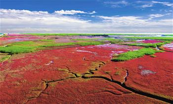 生態(tài)中國(guó)&middot;天遼地寧紅灘舞
