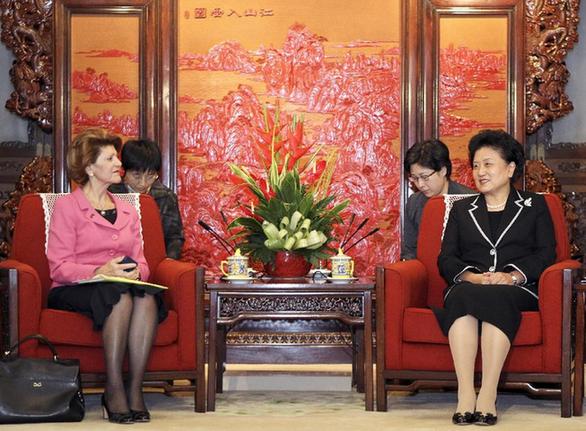 劉延?xùn)|會(huì)見歐盟委員會(huì)教育、文化、語言多樣性及青年事務(wù)委員瓦西利烏