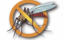 夏季，常見(jiàn)蚊蟲(chóng)如何應(yīng)對(duì)