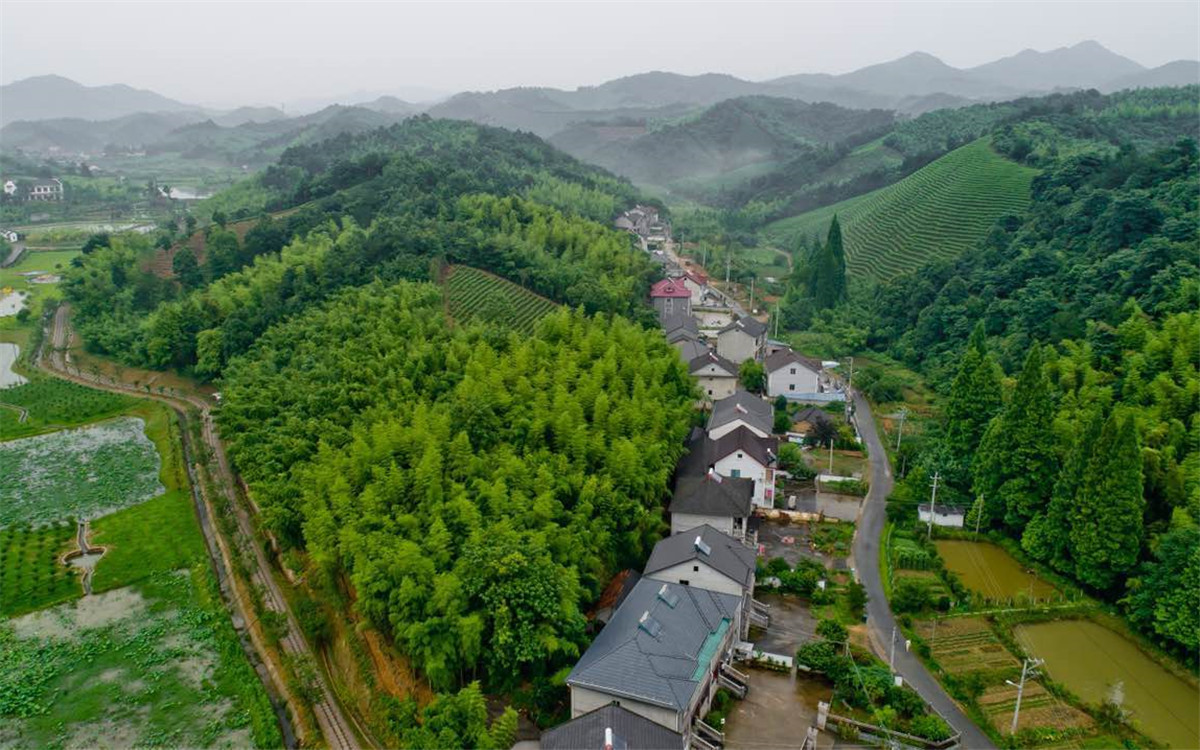 從2003年起，浙江省開展了&ldquo;千村示范、萬村整治&rdquo;工程