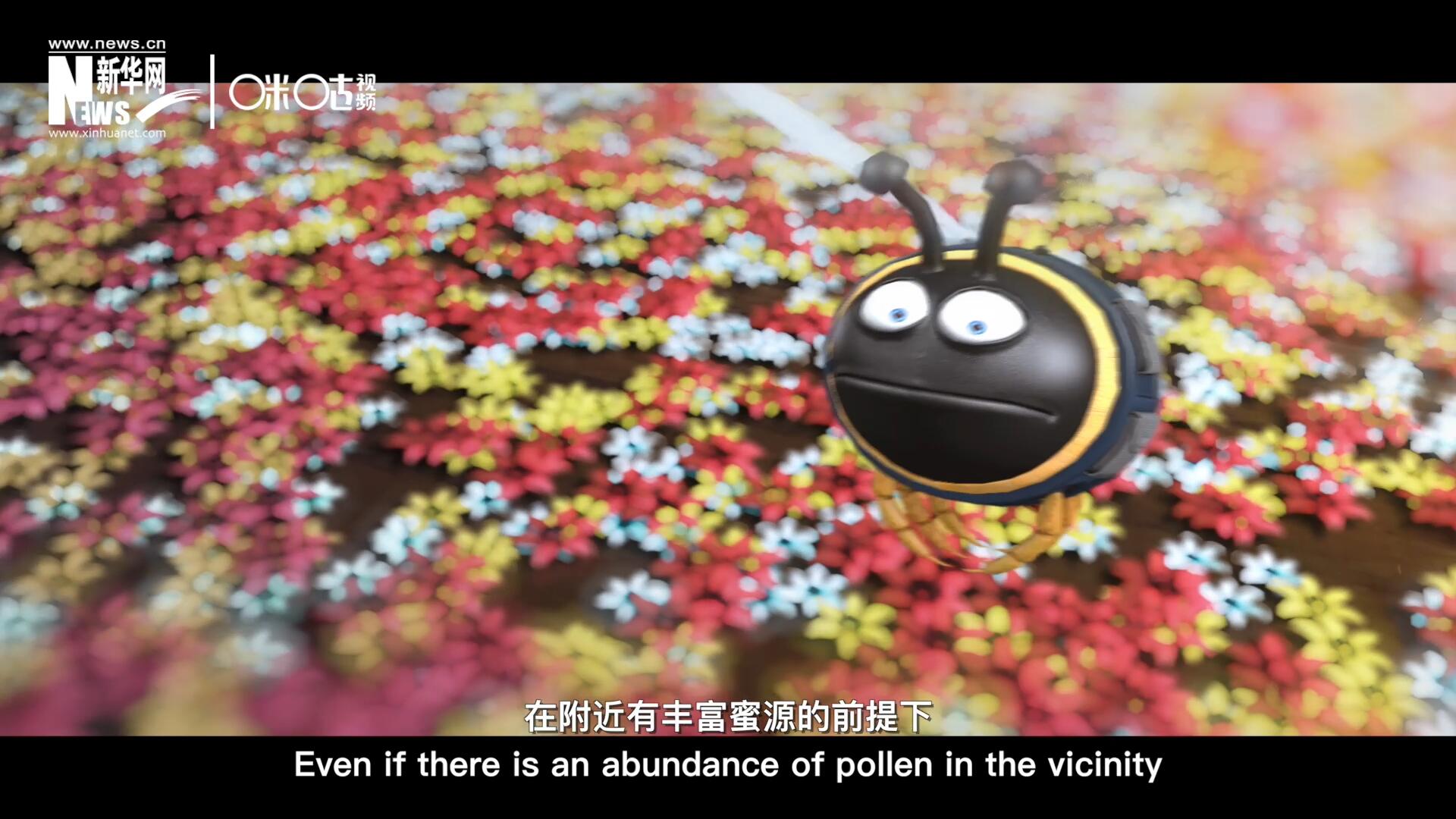 你知道一只蜜蜂采一公斤蜜有多辛苦嗎？據(jù)統(tǒng)計(jì)，在附近有豐富蜜源的前提下，一只蜜蜂大約需要飛行四萬千米