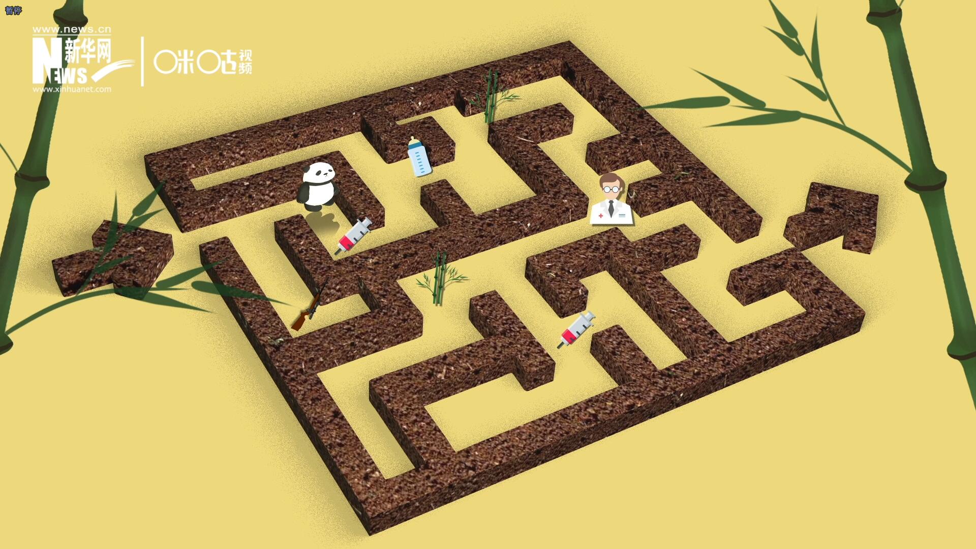 2016年，國際自然保護聯(lián)盟將大熊貓的物種瀕危等級，從&ldquo;瀕危&rdquo;下降到了&ldquo;易危&rdquo;。