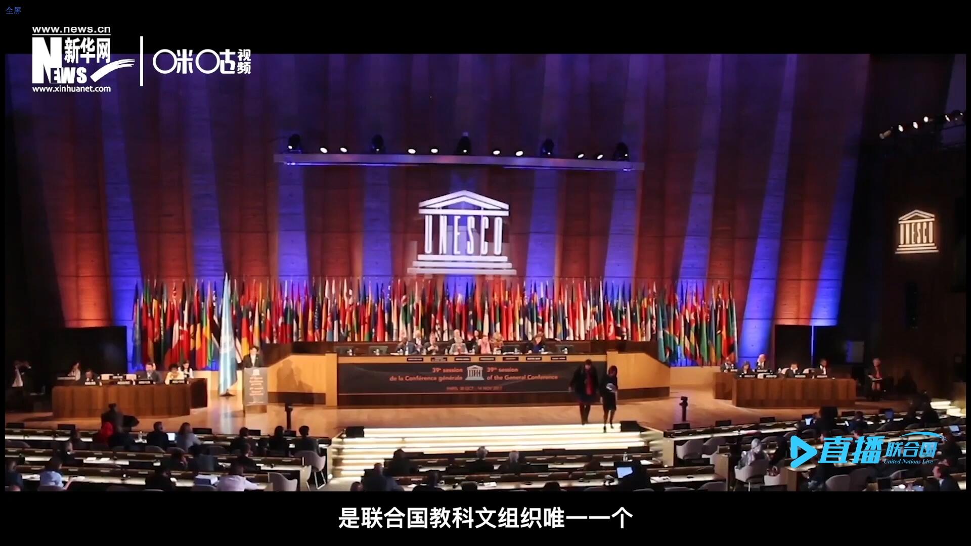 民間藝術(shù)國際組織成立于1979年，是聯(lián)合國教科文組織唯一一個(gè)以保護(hù)和挖掘國際民間藝術(shù)為工作中心的國際機(jī)構(gòu)。