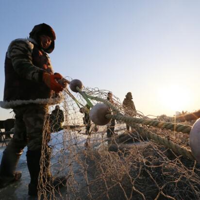 年年有魚(yú)話(huà)冬捕