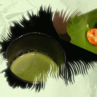 熱茶與伏天的關系，只有清涼