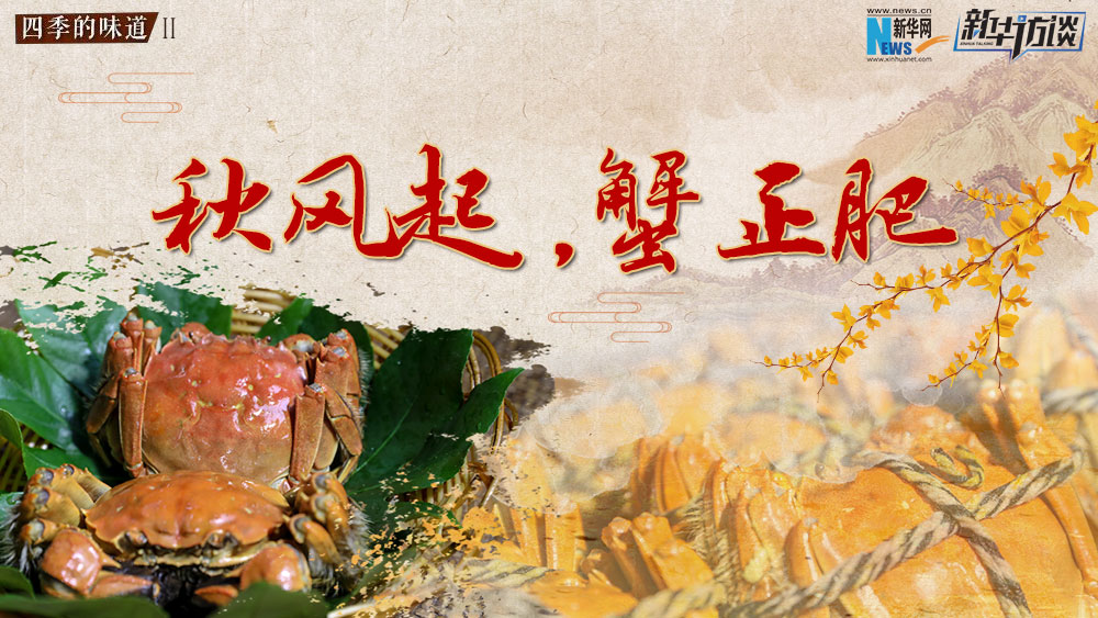 秋風起，蟹正肥