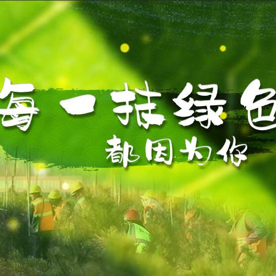 千年秀林，每一抹綠色都因?yàn)槟? /></a>       
<div   id=