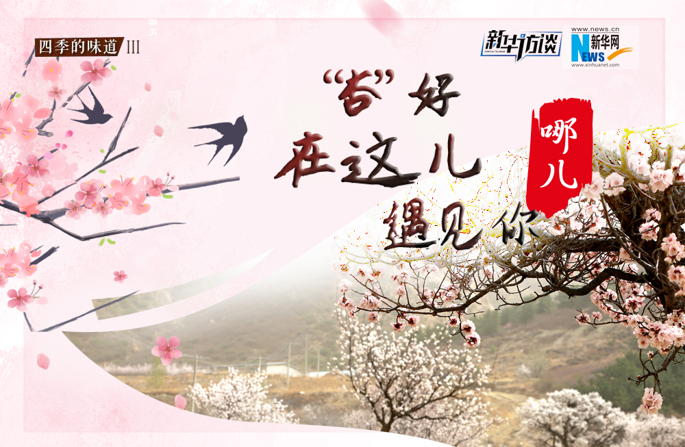 哪兒？&ldquo;杏&rdquo;好在這兒遇見你！