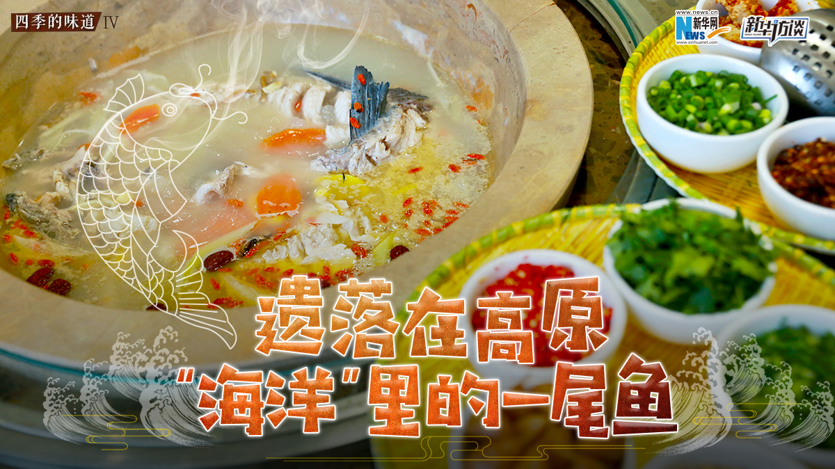 遺落在高原&ldquo;海洋&rdquo;里的一尾魚(yú)